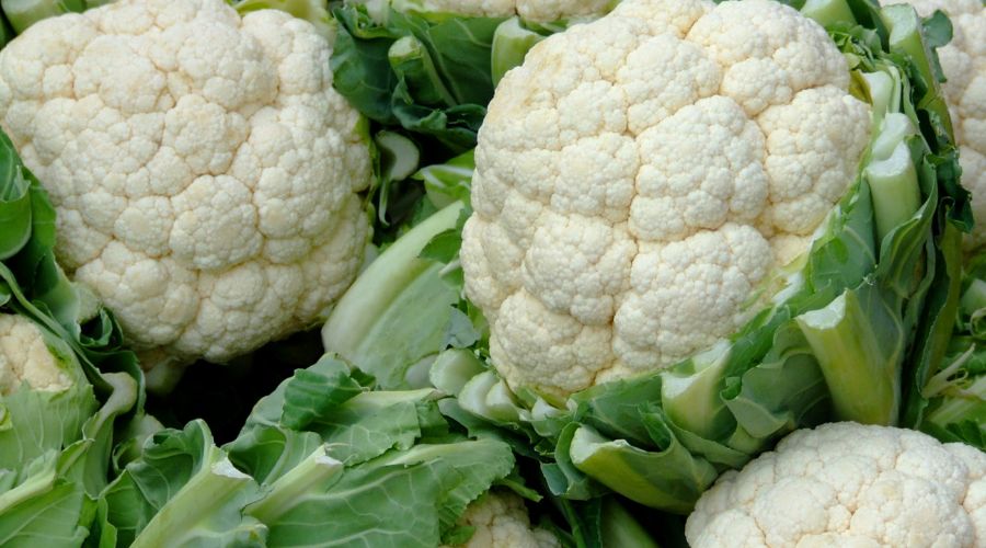 Cauliflower: An On-Your-Plate Winter Wonder