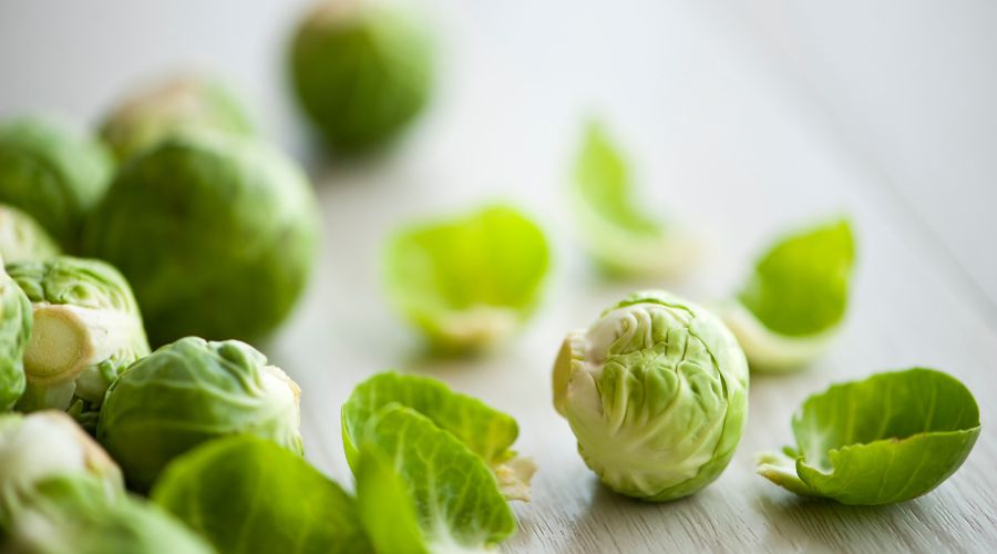 From Tiny Buds to Winter Delights: Brussels sprouts
