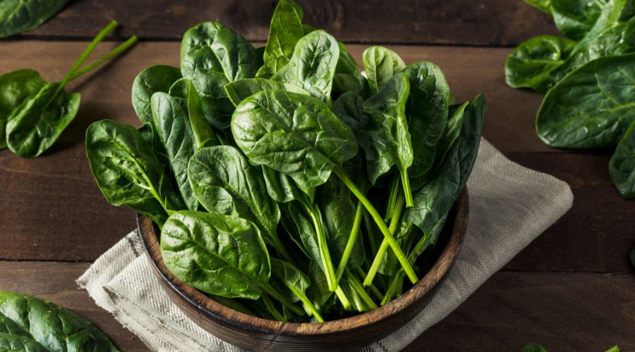 Spinach, a Versatile and Nutrient-Packed Green
